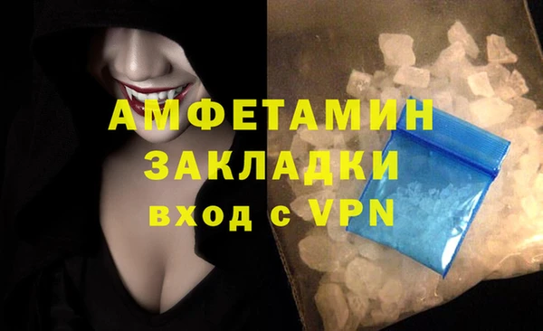 PSILOCYBIN Корсаков
