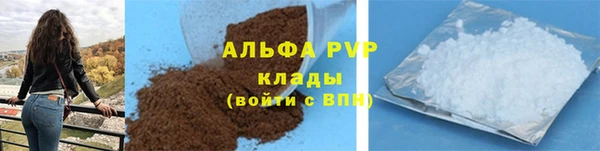 PSILOCYBIN Корсаков