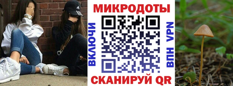Псилоцибиновые грибы прущие грибы  купить наркотик  Медвежьегорск 